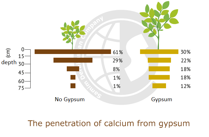 agriculture-gypsum-penetration
